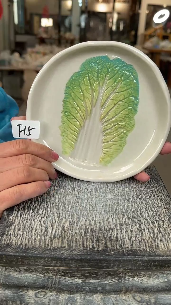 【闪购商品】陶瓷流行中盘