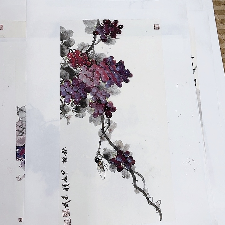 绘画凤****裱花鸟等的繁殖与繁殖技术研究