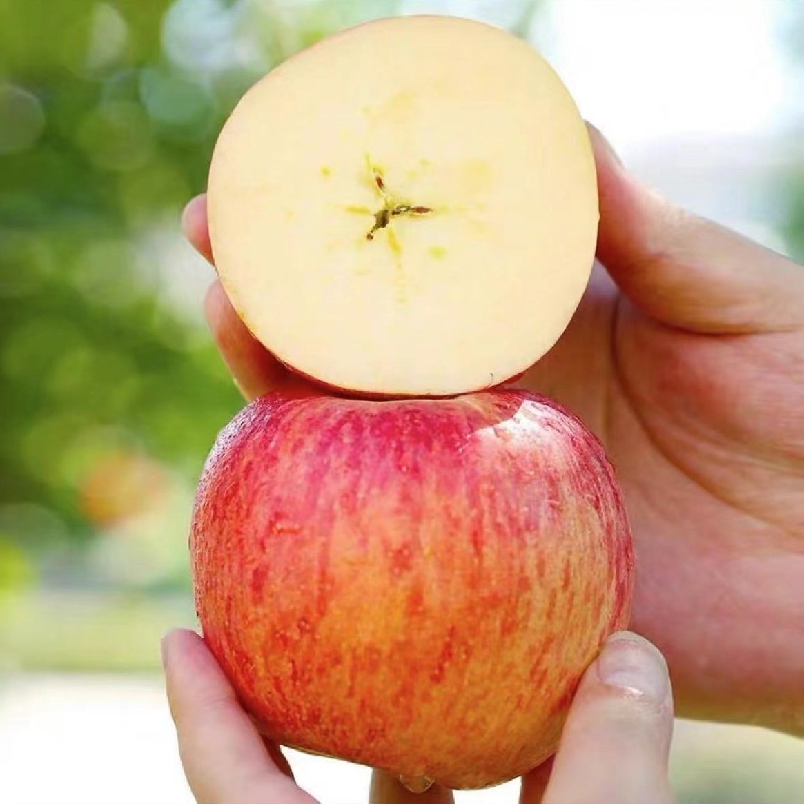 【坏果包赔】山东烟台红富士苹果4.5斤