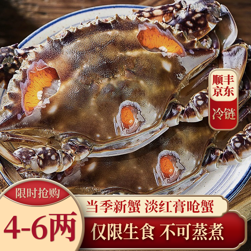 N福 舟山特产4-6两/只淡红膏呛蟹咸蟹（仅限生食不可蒸煮）梭子蟹