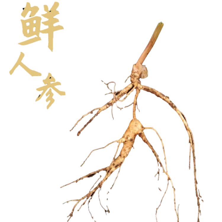林下参鲜参，直播间现挑现选，所见即所得