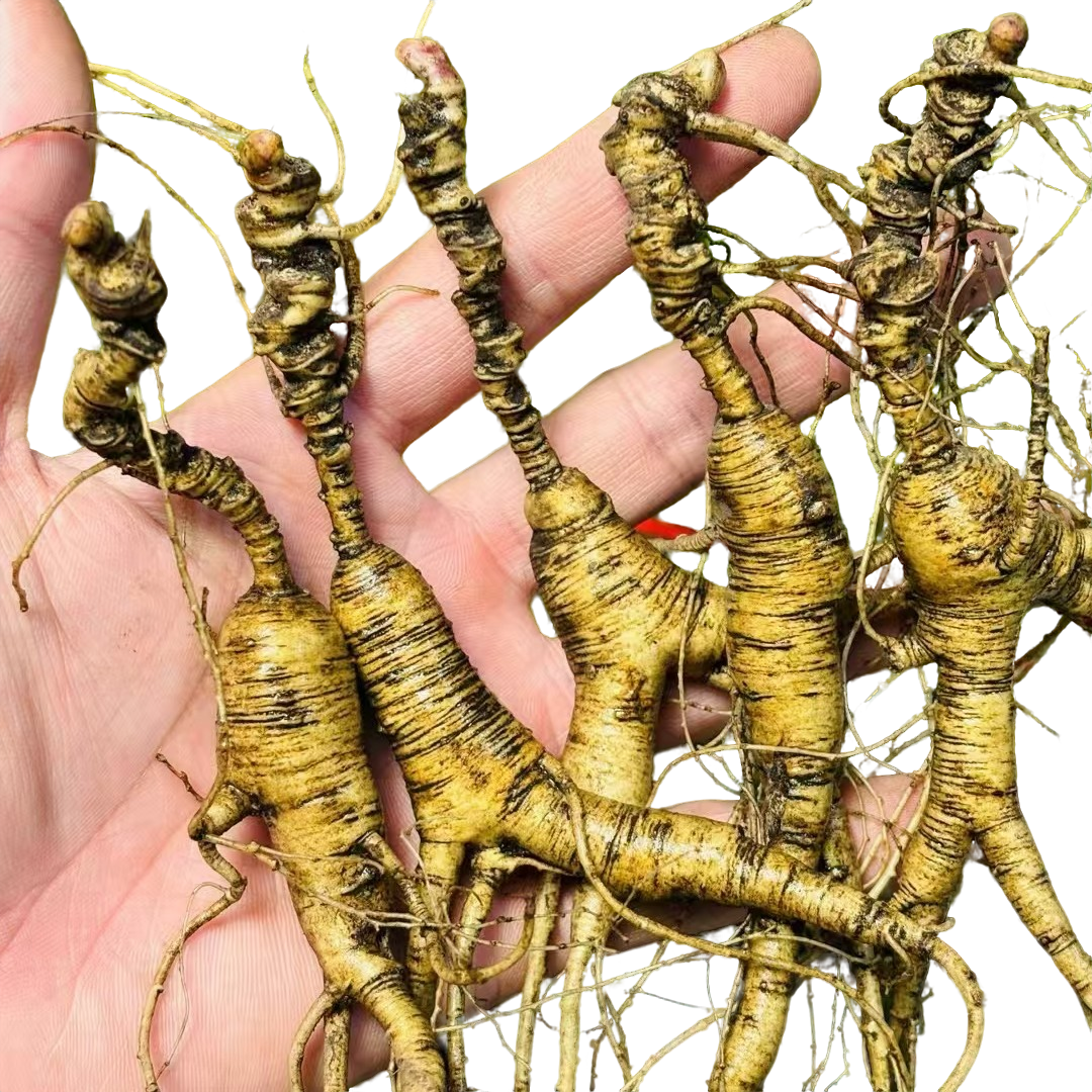 林下参鲜参现挑现选，直播间专用链接