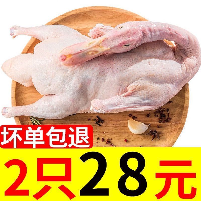 【新店尝鲜】特价 2只 散养活鸭子肉新鲜鸭子整只土鸭冷冻鸭脖子