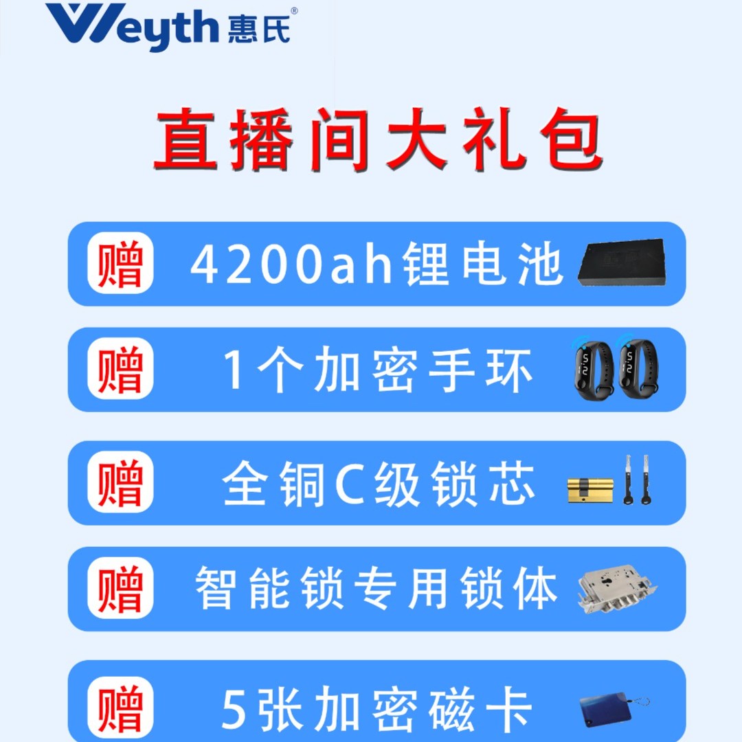 锁芯锁体电池卡片手环