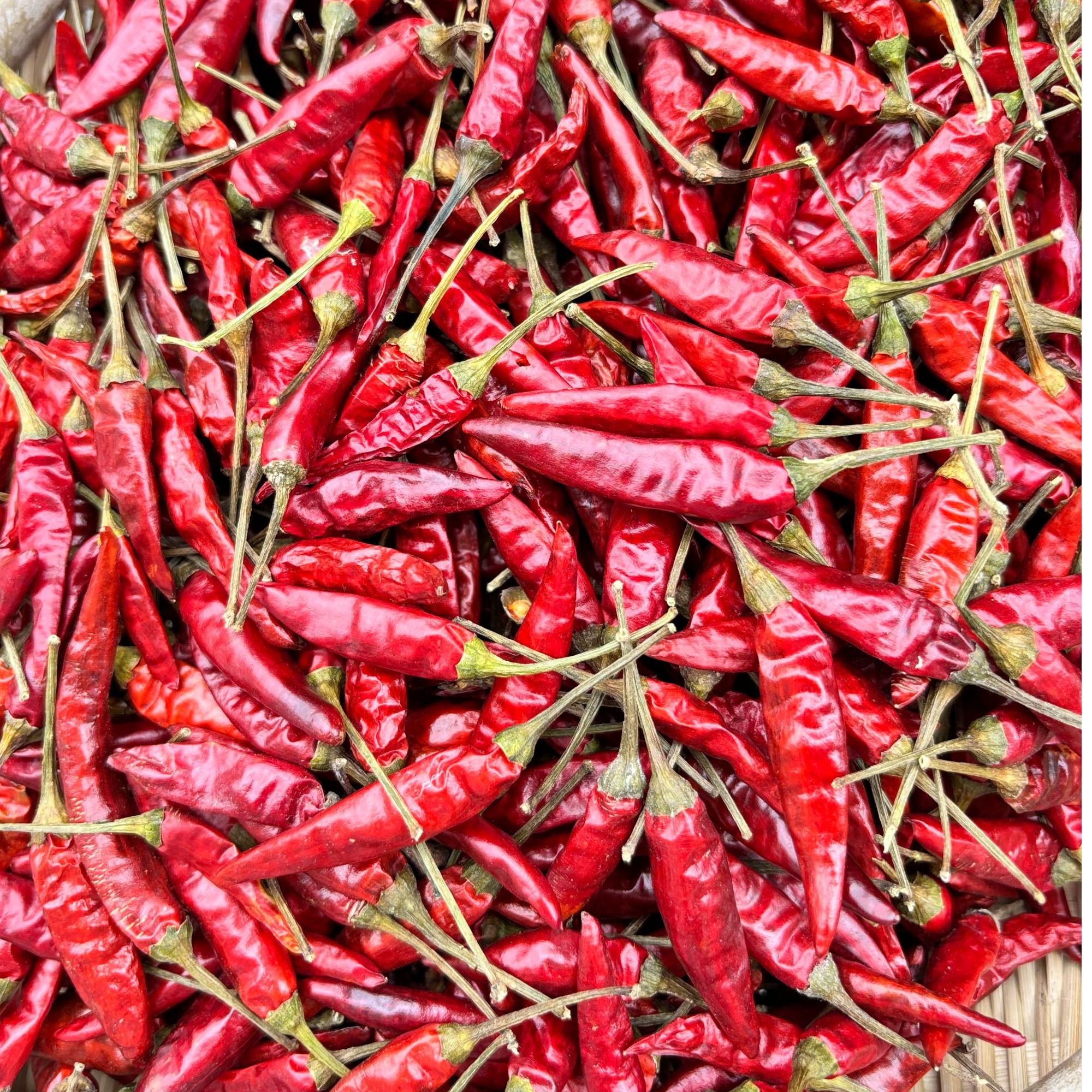 2025年新品农家特辣干小米椒 