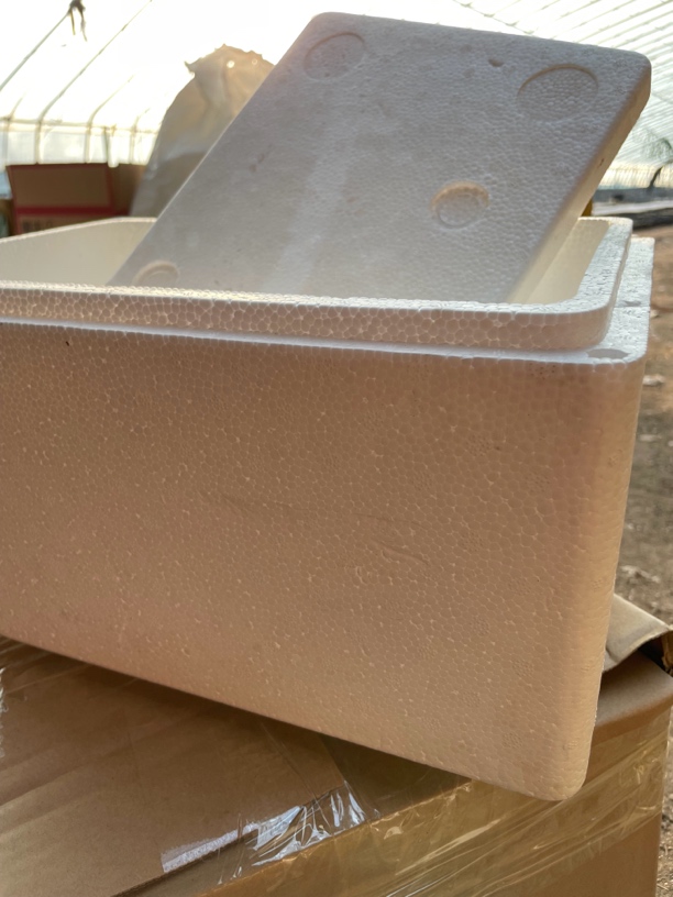 保温箱零下必拍，不拍冻了不赔，