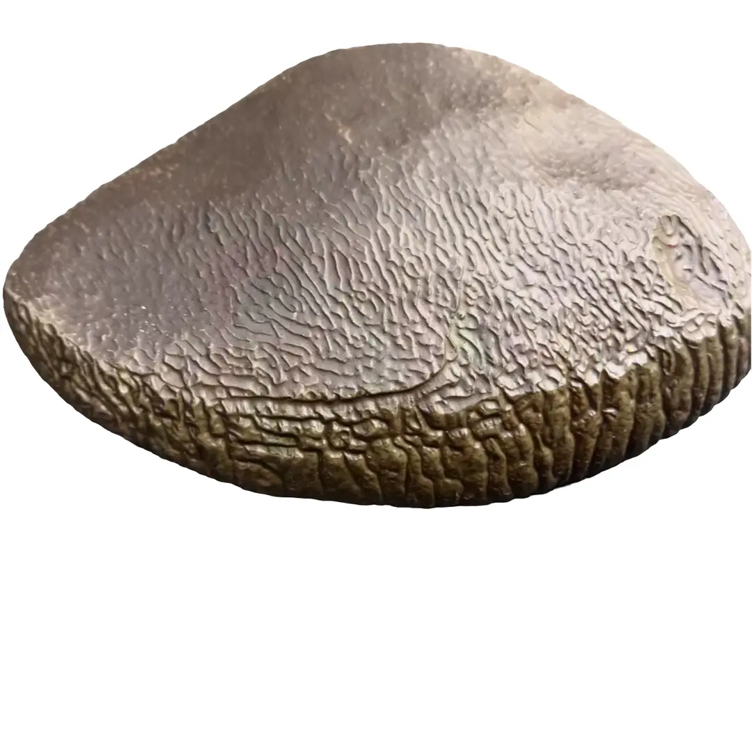 新疆戈壁奇石不包邮，奇特优雅，园林花艺造景摆件