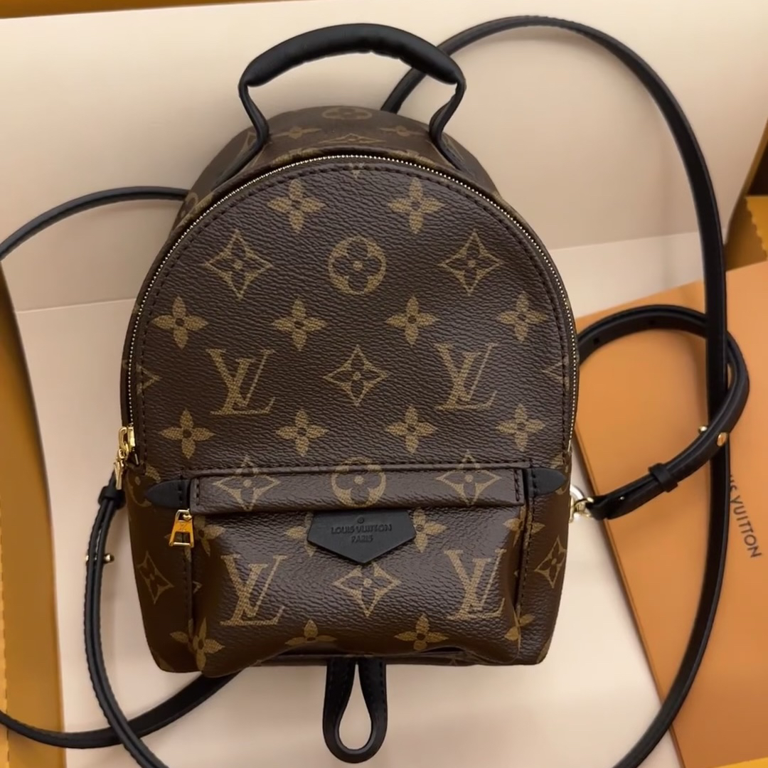 95新 LouisVuitton/路易威登 青奢荟/经典老花迷你双肩包//62327