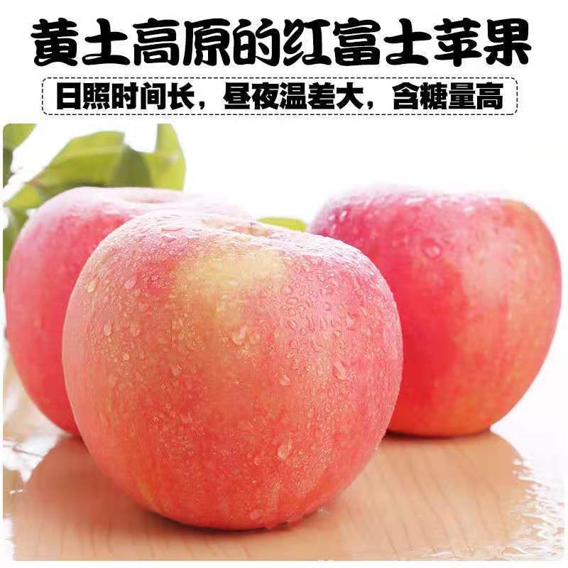 果中邢高山正宗红富士苹果新鲜水果脆甜冰糖心丑苹果现摘原产地
