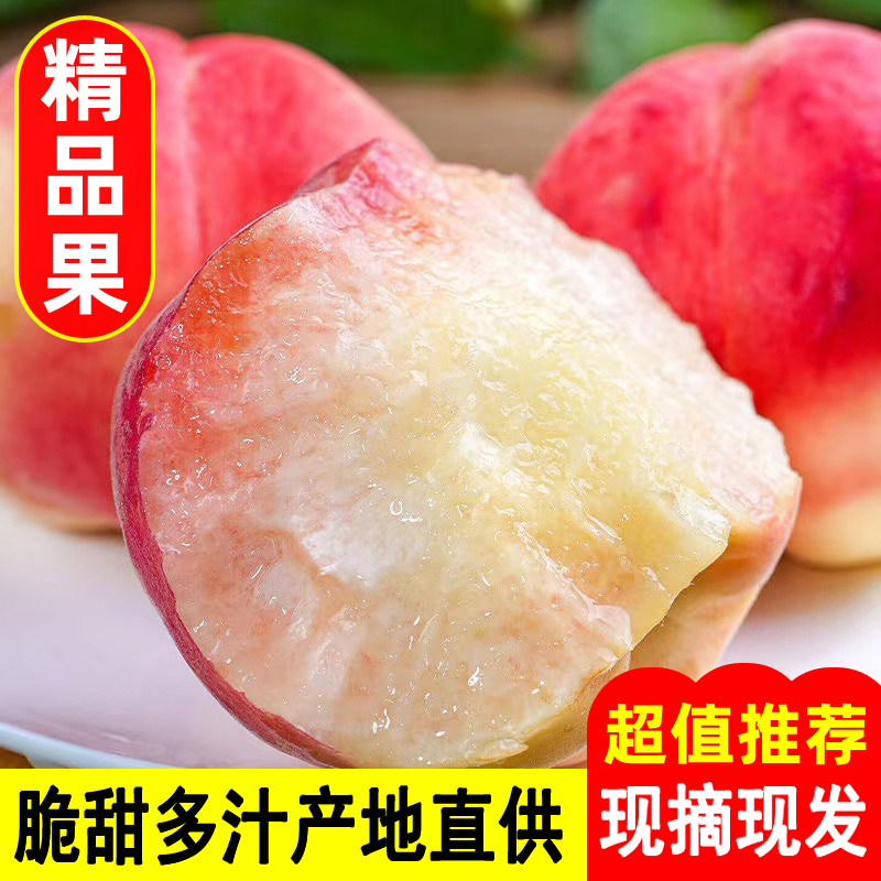 果中邢夏日尝鲜2025现摘水蜜桃新鲜桃子水果毛桃脆甜多汁大桃子