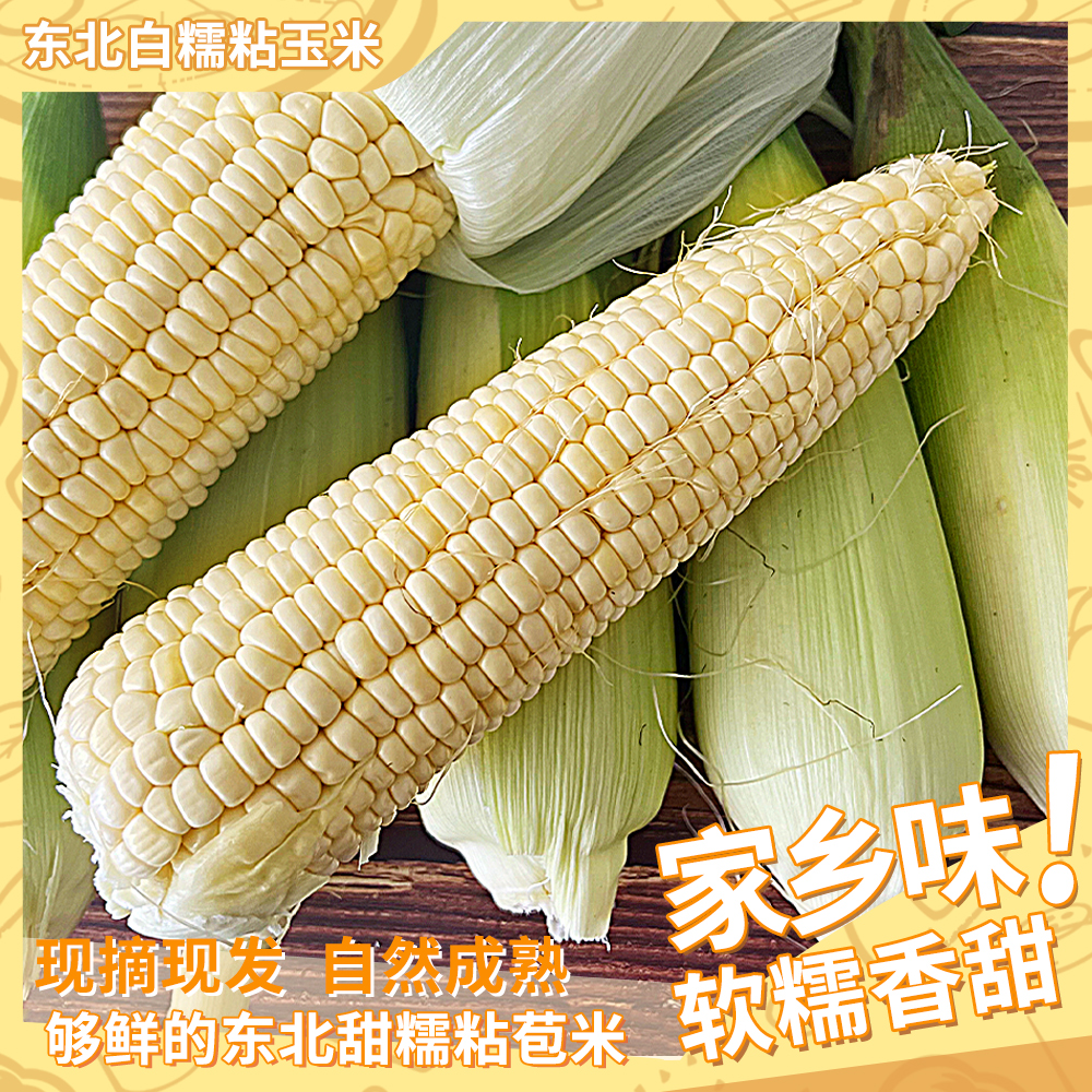 【东北甜糯玉米】鲜香甜糯玉米带叶鲜发3斤5斤新鲜现摘现发顺丰包邮