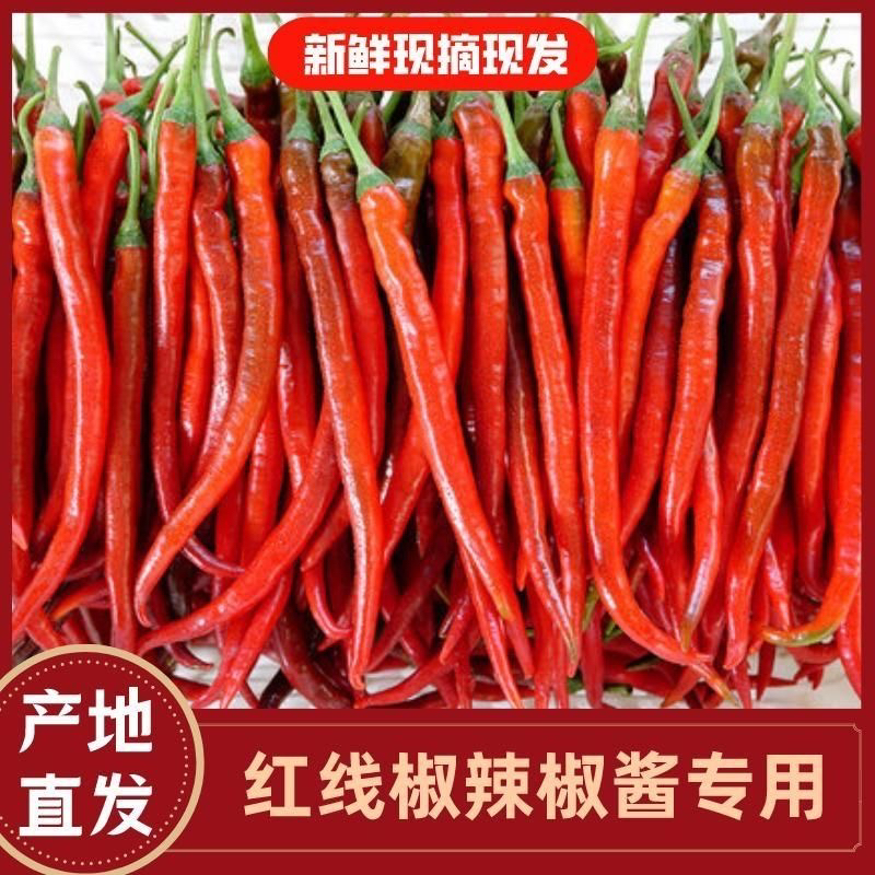 贵州红线椒新鲜红辣椒二荆条尖椒辣椒酱剁椒泡椒现摘现发