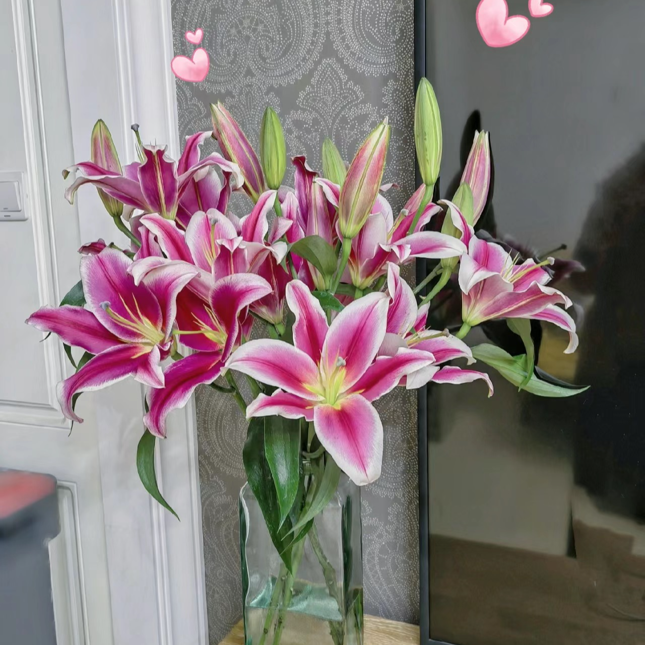 【花卉专属】三头红福 百合顺丰快递 基地直发
