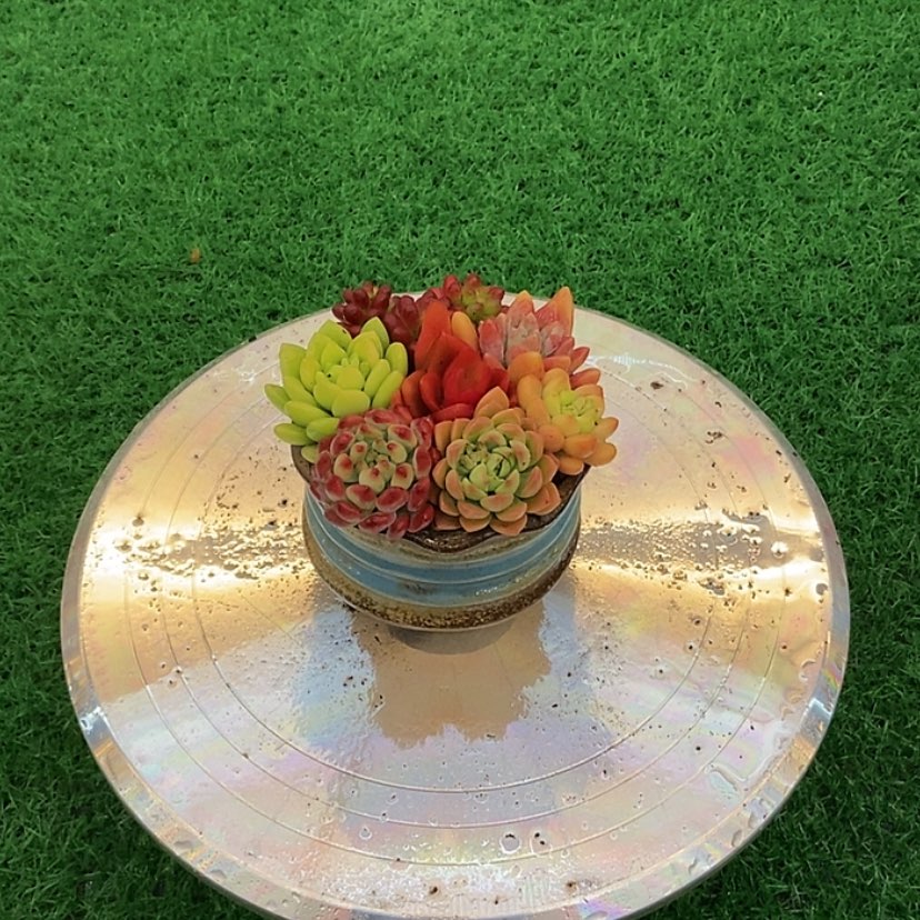 【闪购商品】点赞五万福利