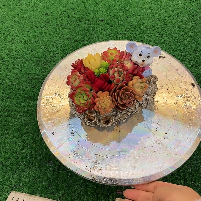 【闪购商品】整点福利1