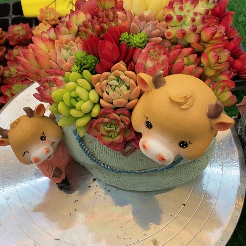 【闪购商品】点赞两万福利