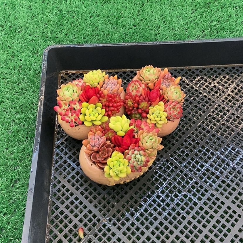 【闪购商品】点赞一万福利