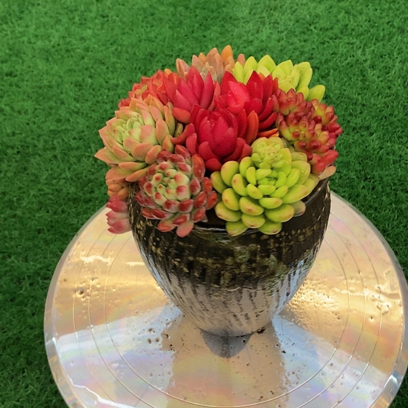 【闪购商品】点赞四万福利