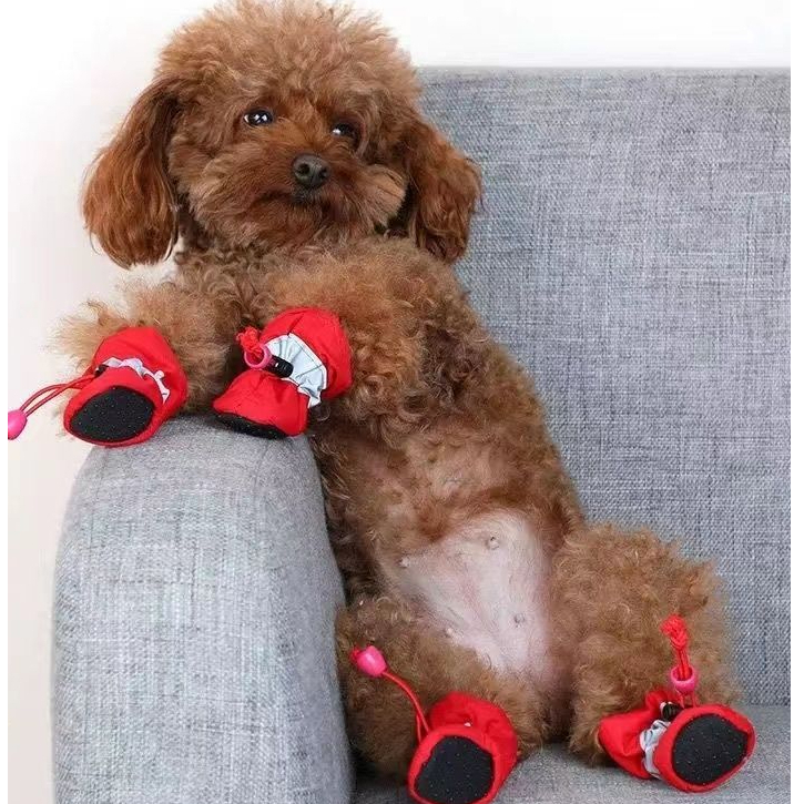 宠物狗狗鞋子小型犬宠物保暖鞋套脚套软底泰迪透气不掉脚加绒