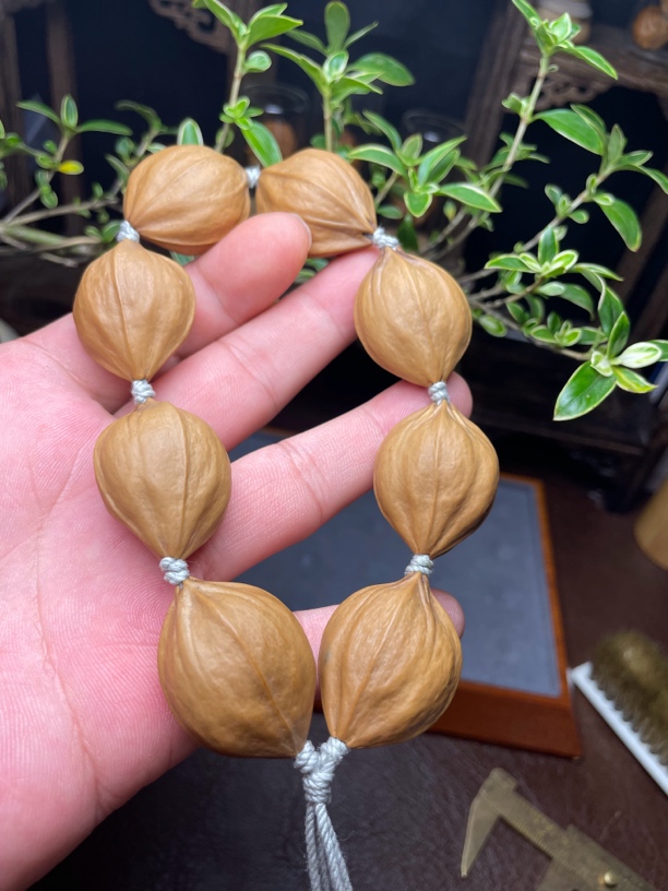 2.4 四花原皮素橄榄 素串