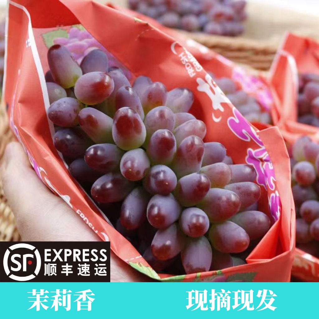 茉莉香1.5斤/3斤4斤当季孕妇水果红提玫瑰郁金香现摘现发香甜