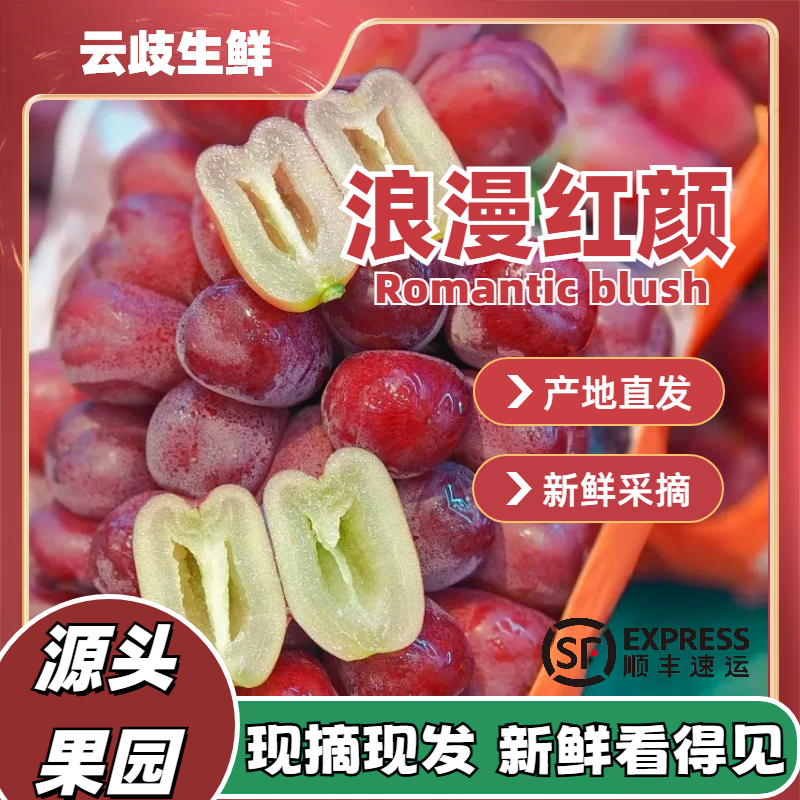 浪漫红颜葡萄 无籽 提子 当季水果礼盒送礼佳品顺丰包邮