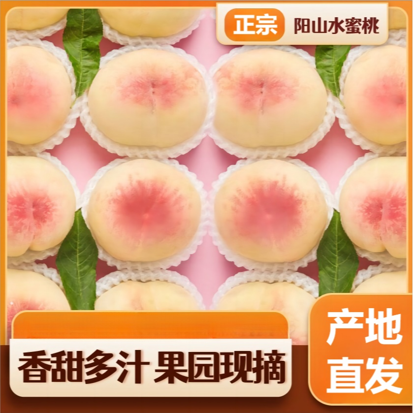 【单箱】正宗无锡阳山水蜜桃礼盒包装