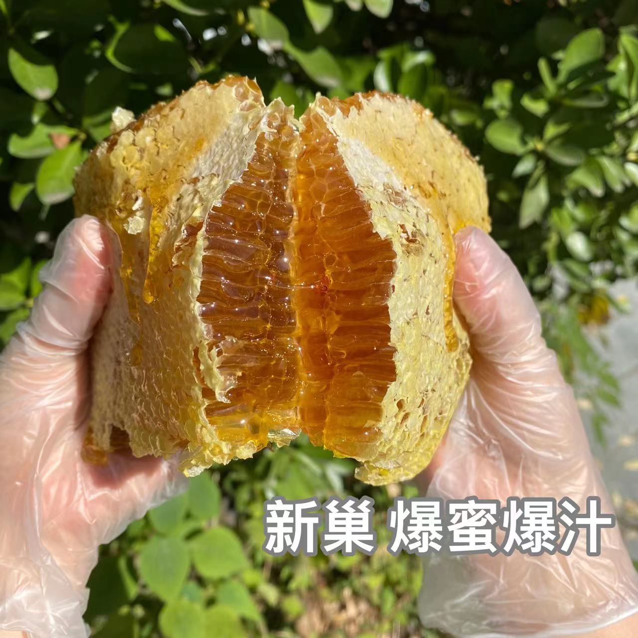 【秦岭野生蜂巢蜜】农家正宗嚼着吃深山新鲜木桶土蜂巢中蜂蜜酿造