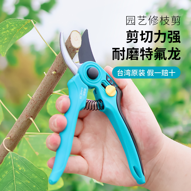 台湾原装修枝剪果树园艺修剪枝条剪刀花艺修花剪子剪树枝专用剪刀