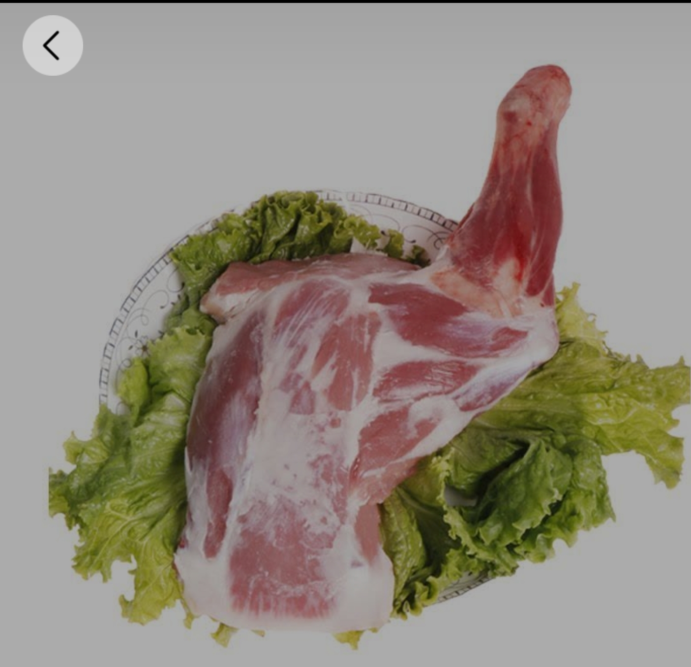 新疆塔城草标羔羊前腿 3公斤