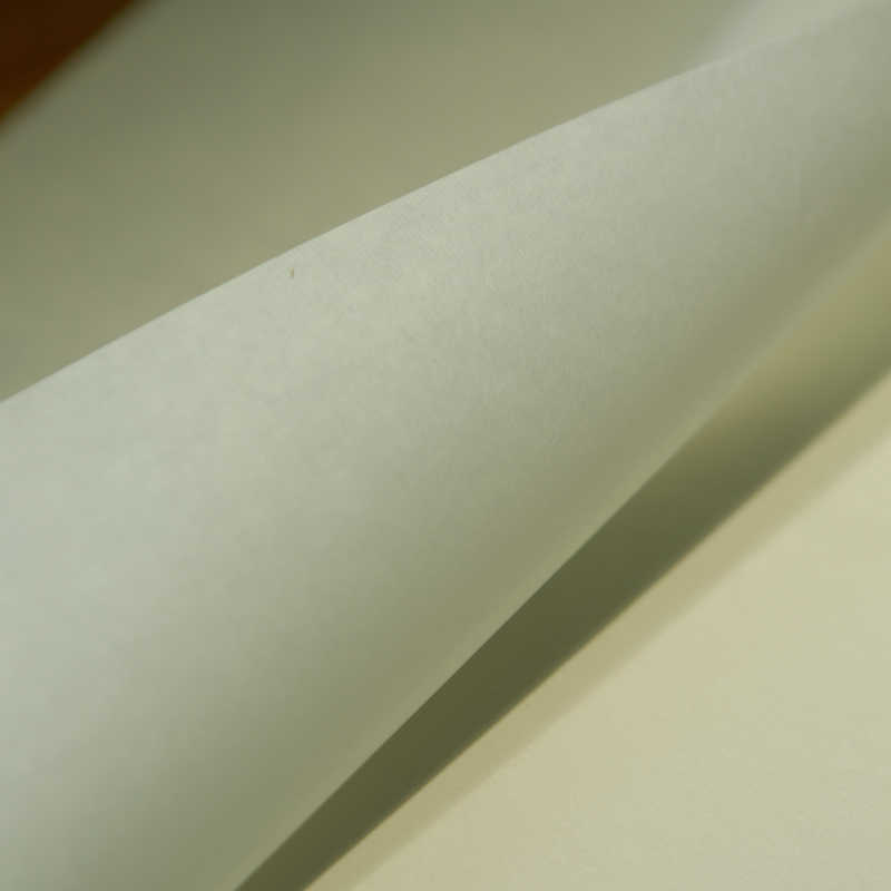 书画系列纯手工净皮生宣大写意山水画创作行楷篆隶