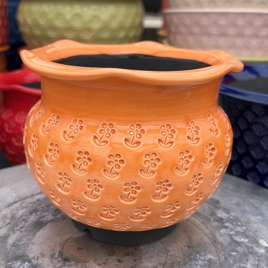 从前慢花园多肉编号0818-15