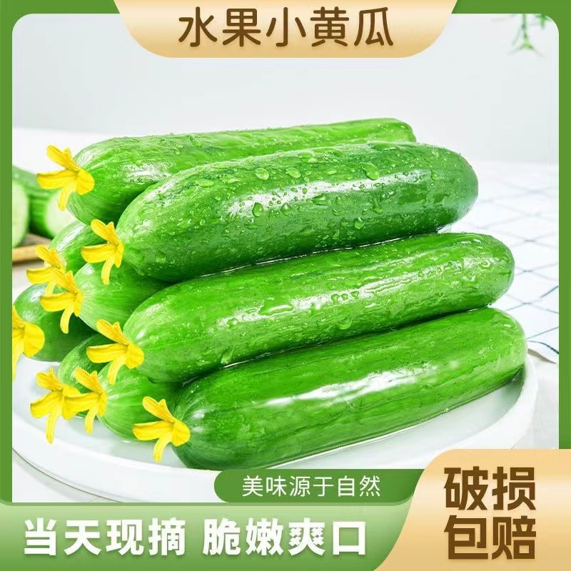 （清脆爽口）新鲜脆嫩生吃水果小黄瓜4.5斤约16-22根农家蔬菜黄瓜X