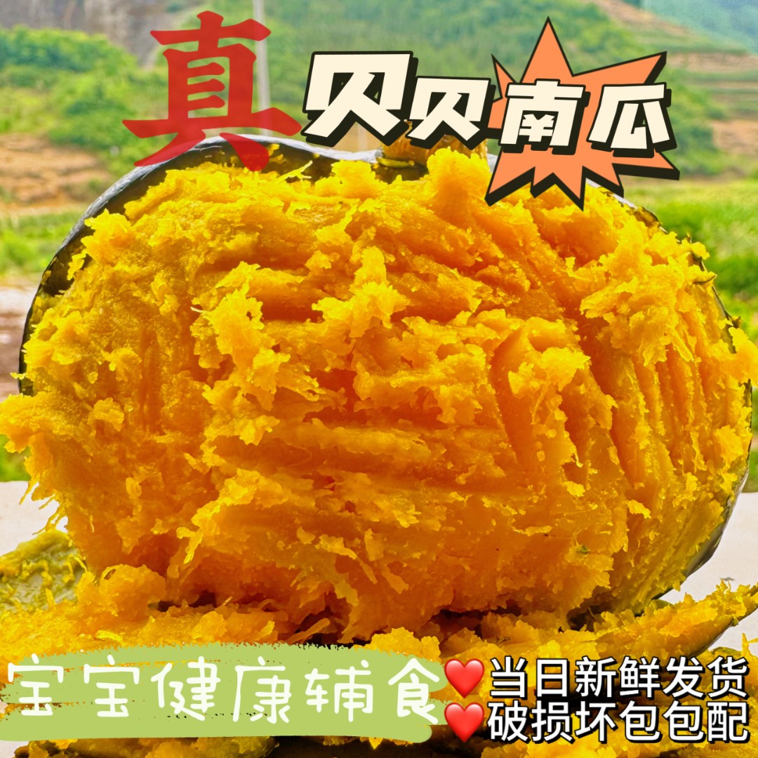 O9 新鲜采摘沙地贝贝南瓜粉糯净重4.5斤大果不粉包赔5-10个