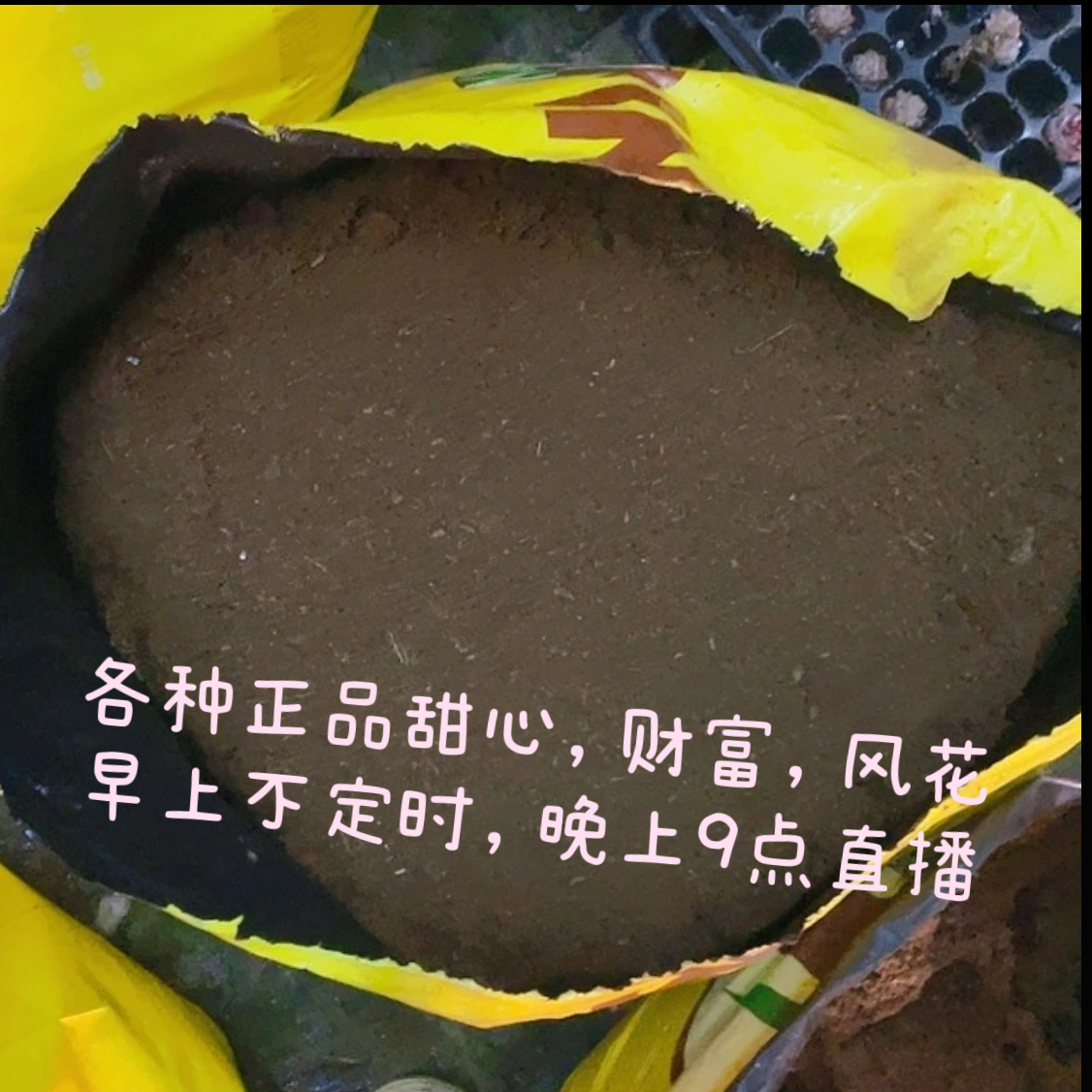 品氏泥炭土（营养土）5.0颗粒一袋5升