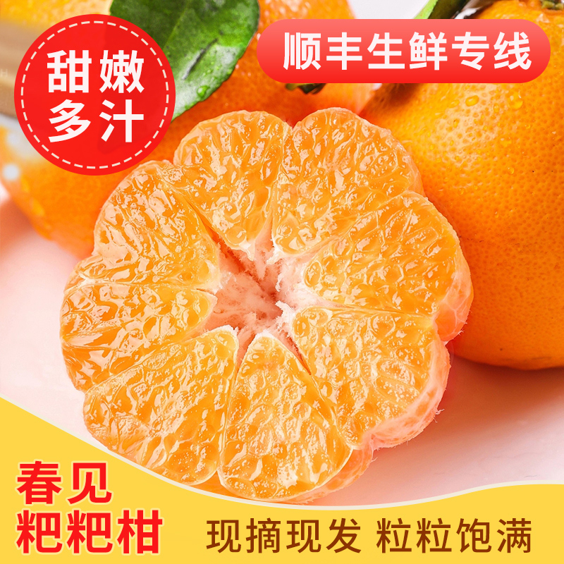 四川特级春见耙耙柑粑粑柑橘子甜当季整箱新鲜水果丑柑桔果园包邮
