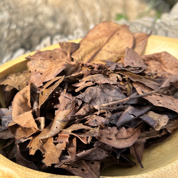 六堡茶十年老茶婆100g/袋附赠20g茶果