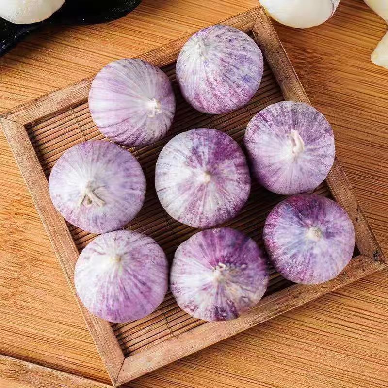 【独头蒜】云南 现收 现发 农家紫皮独头蒜 蒜头当季独头蒜紫皮