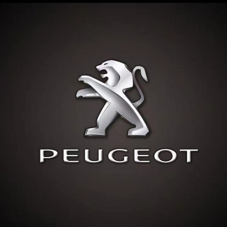 【8】标致专车专色定制漆 修复划痕