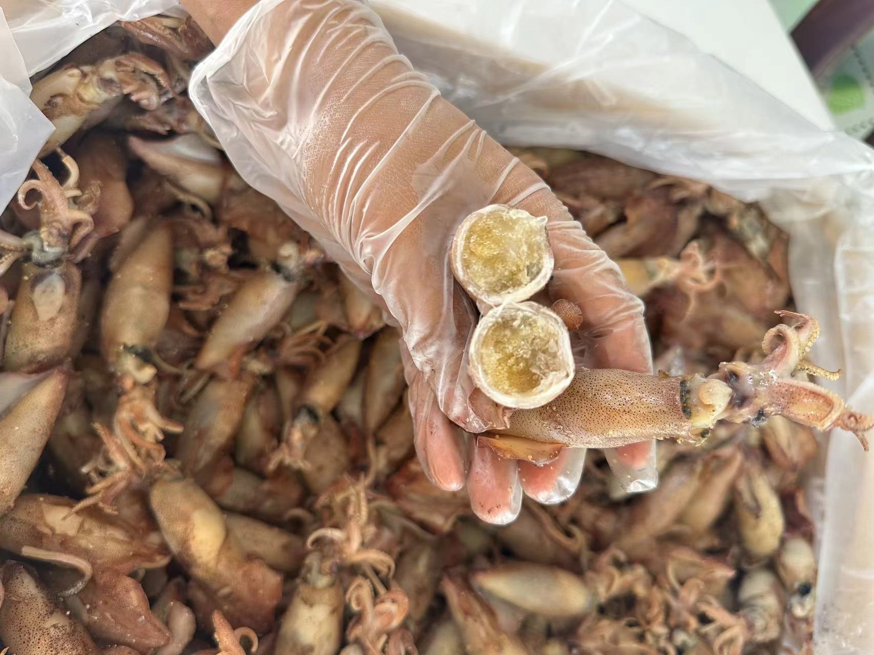 烘干全籽籽蜜（一斤装）