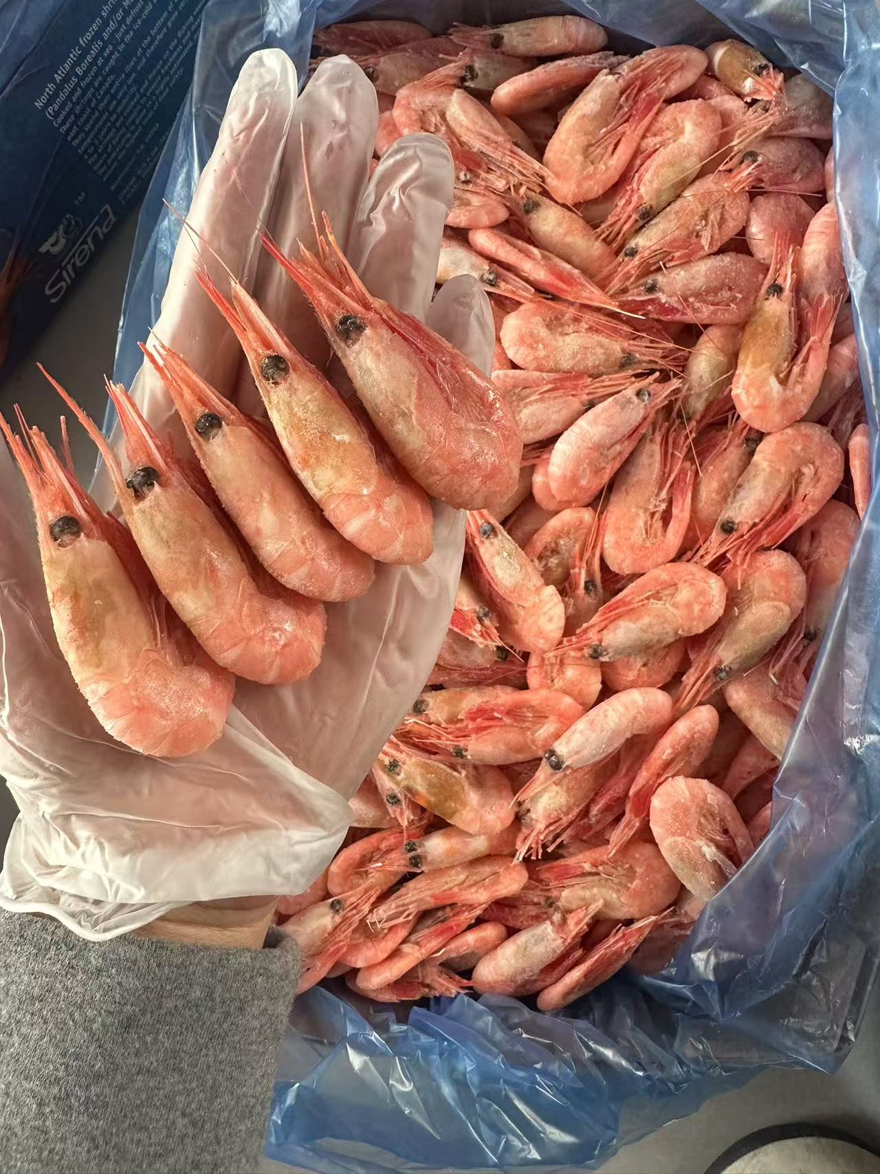 北极甜虾好吃的元宝虾