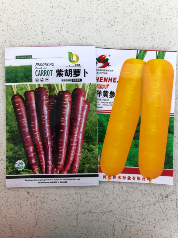 西洋黄参+紫胡萝卜种子