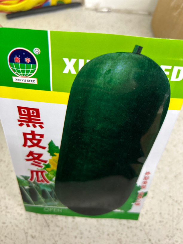 黑皮冬瓜冬瓜种子
