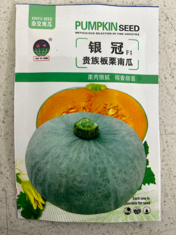 银冠板栗南瓜籽种子