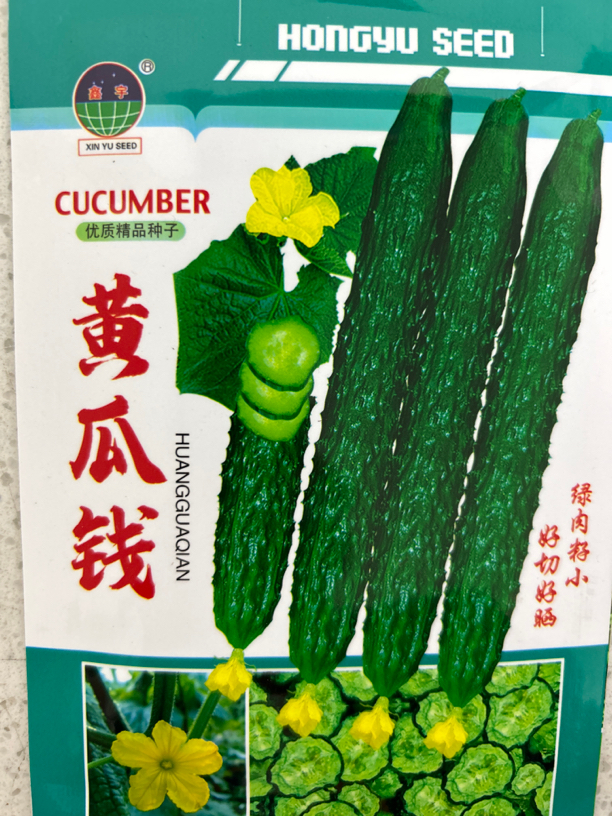 黄瓜钱水黄瓜种子