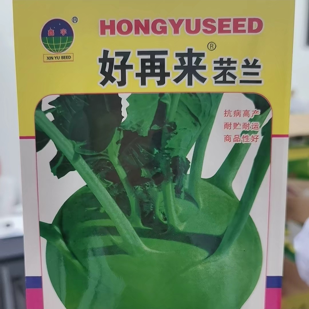 苤蓝种子种子种子