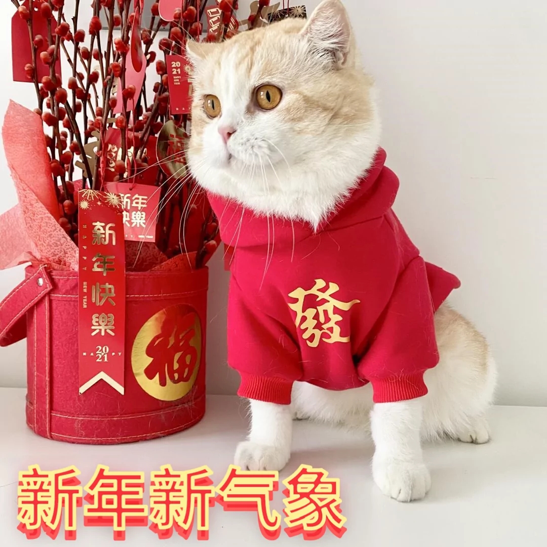 2024迎新年猫咪衣服加绒加厚猫咪过年布偶英短幼猫红色喜庆衣服