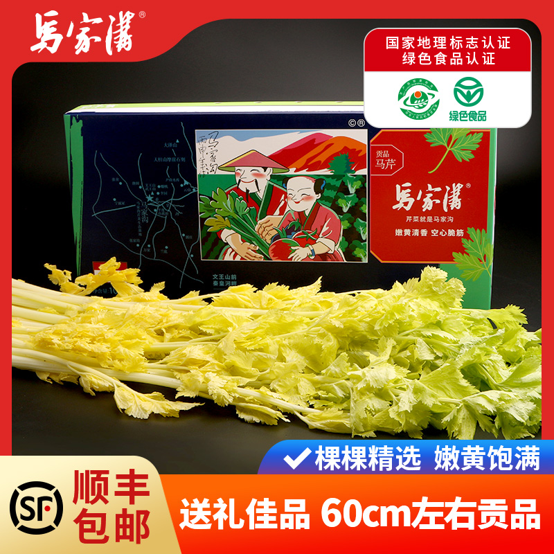 马家沟芹菜贡品礼盒装