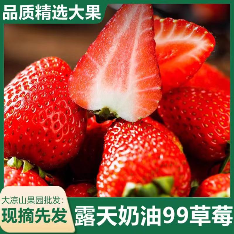 【顺丰包邮】大凉山奶油草莓新鲜孕妇水果露天草莓现摘当季水果包邮