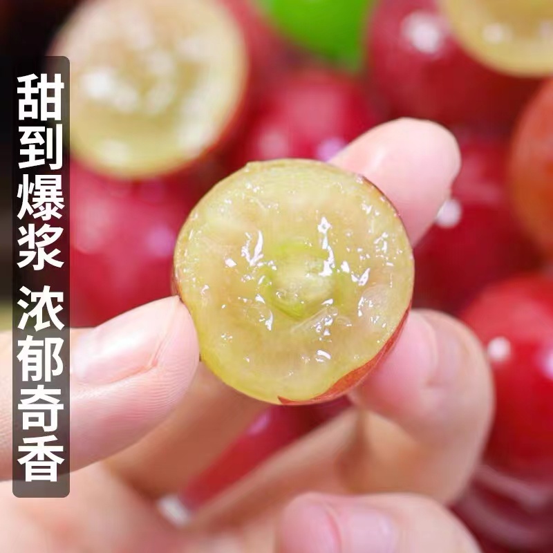 【颗粒装】妮娜皇后葡萄新鲜妮娜公主无籽提子红酒味葡萄【顺丰陆运】